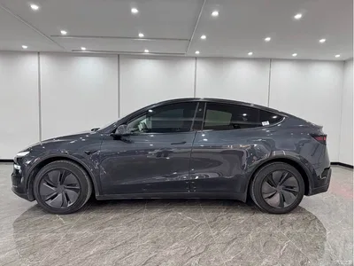 2025 Tesla Model Y Rear-Wheel Drive, фото 4, лот 11198072