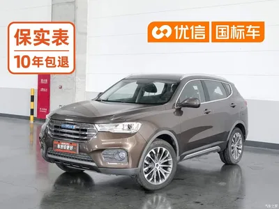 2017 Haval H6 Blue Label 2.0T Automatic 2WD Smart Edition, фото 1, лот 10299204