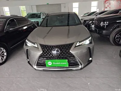 2020 Lexus UX 260h Explore Fun Edition, фото 3, лот 10440124