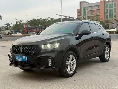 2020 WEY VV5 1.5T 2WD Style Pioneer, фото 3, лот 10451324