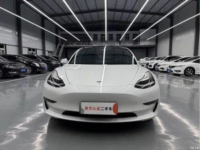 2019 Tesla Model 3 (Import) Long Range All-Wheel Drive Edition, фото 2, лот 10343348