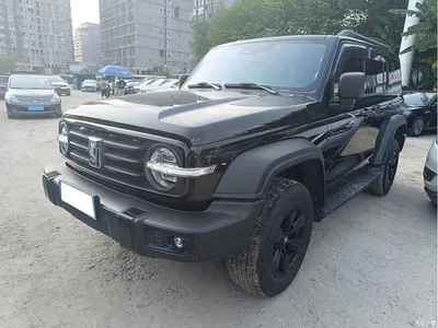 2021 Tank 300 Off-road Version 2.0T Conqueror, фото 1, лот 11074477
