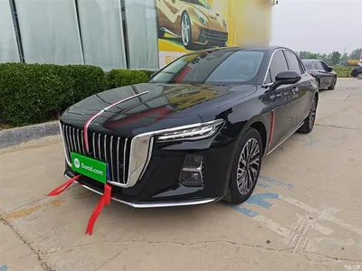 2024 Hongqi H5 2.0T Automatic Smart Connect Flag Smooth Edition, фото 2, лот 10289819