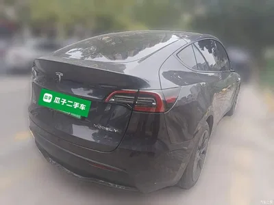 2024 Tesla Model Y Rear-Wheel Drive Version, фото 4, лот 11412125