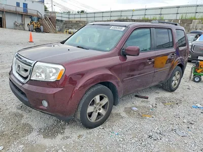 2011 HONDA PILOT EXL, фото 1, лот 10705803