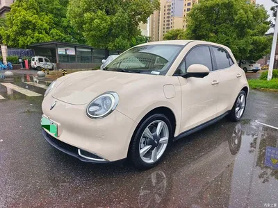 2023 Ora Good Cat 401km Standard Range Luxury LFP, фото 1, лот 11579469