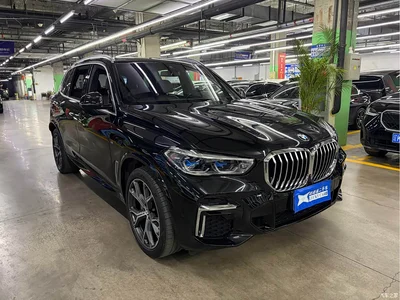 2022 BMW X5 Facelift xDrive 40Li M Sport Package, фото 2, лот 11182959