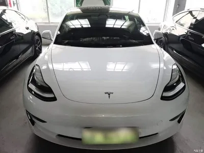 2019 Tesla Model 3 (Import) Long Range RWD Version, фото 3, лот 11188261