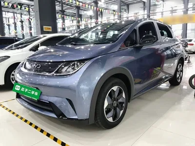 2025 BYD Dolphin 420km Freedom Edition, фото 2, лот 10259758
