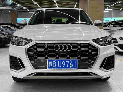 2021 Audi Q5L 40 TFSI Luxury Elegance, фото 2, лот 11097785