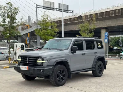 2021 Tank 300 Off-road Version 2.0T Conqueror, фото 1, лот 10893541