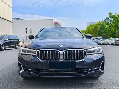2021 BMW 5 Series Facelift 530Li Leading Luxury Package, фото 1, лот 11188925