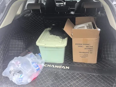2022 Changan CS55 PLUS Model Second Generation 1.5T DCT Premium Edition, фото 4, лот 10248298