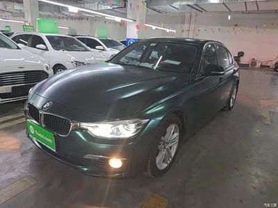 2017 BMW 3 Series 320Li Fashion, фото 2, лот 10457432