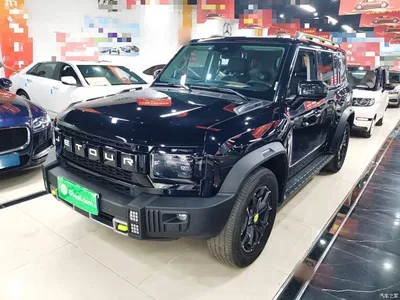 2023 Jetour Traveler Model 2.0T 4WD Cross PRO, фото 2, лот 11002477