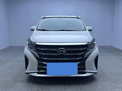 2021 GAC Trumpchi Trumpchi M8 Leading Show Series 390T Premium Edition, фото 2, лот 11249792