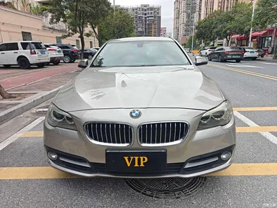 2014 BMW 5 Series 520Li Elegance, фото 3, лот 11580577