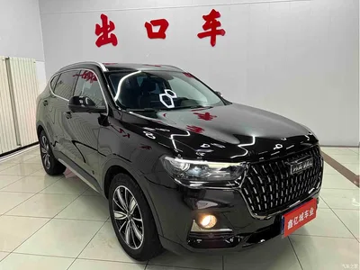 2023 Haval H6 National Trend Edition 1.5T Automatic Champion, фото 3, лот 10281866