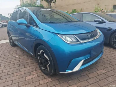 2021 BYD Dolphin Model 405km Fashion Edition, фото 4, лот 10264138