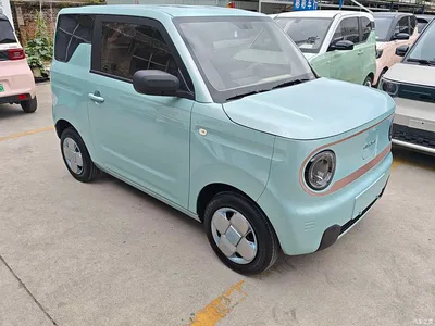 2024 Geely Galaxy Panda mini 200km Endurance Bear, фото 3, лот 10431007