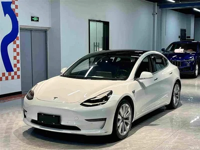 2019 Tesla Model 3 (Import) Long Range RWD Version, фото 1, лот 10368957