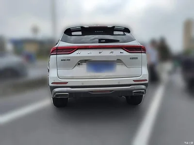 2023 Haval H6 National Trend Edition 1.5T Automatic Champion, фото 3, лот 11582782