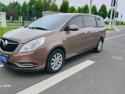 2017 Buick GL8 25S Luxury China V, фото 3, лот 10246204
