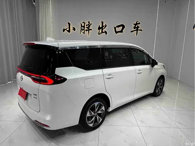 2021 GAC Trumpchi Trumpchi M6 PRO 270T DCT Premium Edition, фото 4, лот 10416468