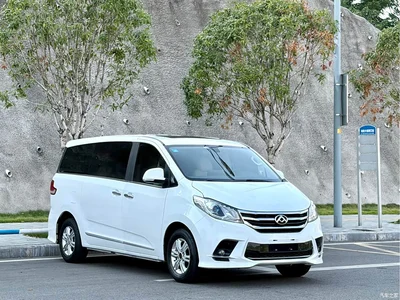 2019 SAIC Maxus Maxus G10 PLUS 2.0T Automatic Elite Edition China V, фото 3, лот 11162354