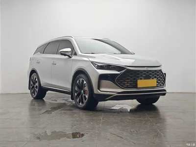 2024 BYD Tang New Energy DM-p Champion Edition 215KM AWD Flagship, фото 2, лот 10404707