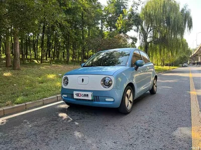 2019 Ora Black Cat Model 351km Smart Fun Edition, фото 1, лот 10478733