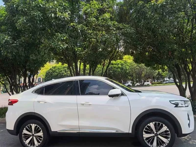 2021 Haval F7x 1.5T 2WD Ultimate Smart Trend Edition, фото 1, лот 10819082
