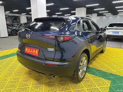 2022 Mazda CX-30 2.0L Automatic Excellence Joy Model, фото 4, лот 10326313