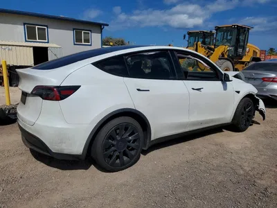 2024 TESLA MODEL Y, фото 3, лот 10852197