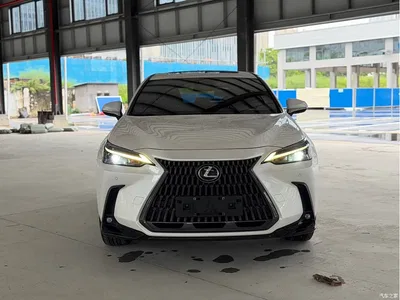 2022 Lexus NX New Energy 400h+ Joy Edition, фото 2, лот 10316064