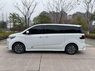 2021 SAIC Maxus Maxus G20 Facelift PLUS 2.0T Gasoline Automatic Luxury, фото 4, лот 11160900