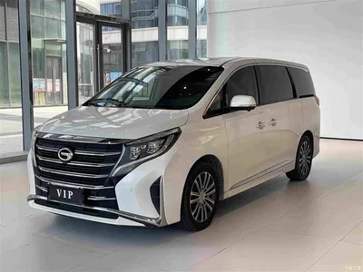 2021 GAC Trumpchi Trumpchi M8 Leading Show Series 390T Ultimate Edition, фото 1, лот 10887942