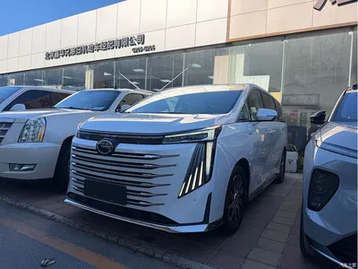 2023 GAC Trumpchi Trumpchi E9 E9 MAX, фото 1, лот 11570337