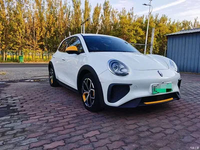 2024 Ora Good Cat GT Mulan Edition 401km Premium 135kW, фото 2, лот 10833523