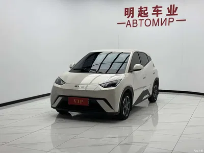 2024 Byd Seagull, фото 4, лот 10245427