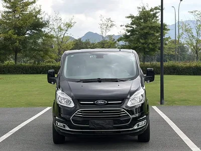 2020 Ford Tourneo 2.0T Auto Elite Edition China VI, фото 2, лот 10361770