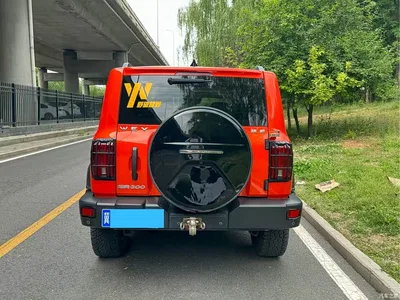 2021 Tank 300 Off-road Version 2.0T Conqueror, фото 4, лот 10344997