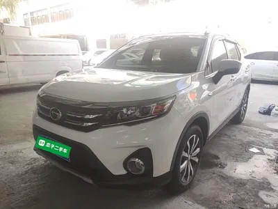 2019 GAC Trumpchi Trumpchi GS3 235T Automatic Elite Edition, фото 1, лот 11222833