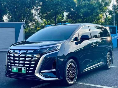 2022 Denza D9 DM-i 970 All-Wheel Drive Honor Edition, фото 1, лот 10362155