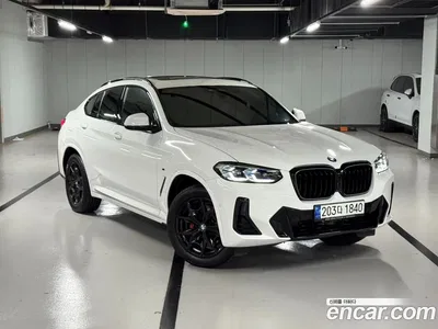 2022 BMW X4 xDrive20i M Sports Pro, фото 1, лот 10141547