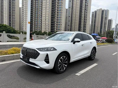 2021 WEY Mocha 2.0T 2WD Premium Edition, фото 1, лот 11150223