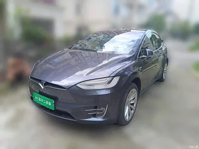 2019 Tesla Model X Long Range Version, фото 2, лот 10370741