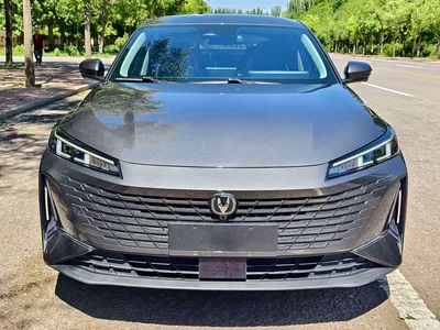 2023 Changan Yida Blue Whale NE 1.5T GDI DCT Flagship, фото 1, лот 10252310