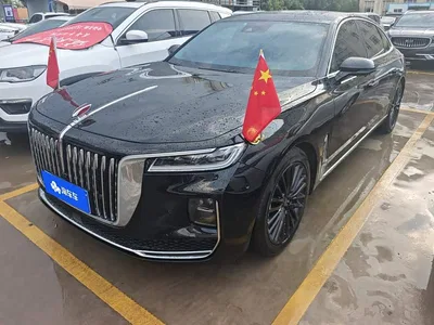 2020 Hongqi H9 3.0T Smart Connection Qi Chang Edition, фото 1, лот 10288109