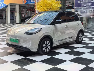 2023 Wuling Motors Wuling Bingo Model 333km Telepathic Connect+ Version, фото 3, лот 10888715